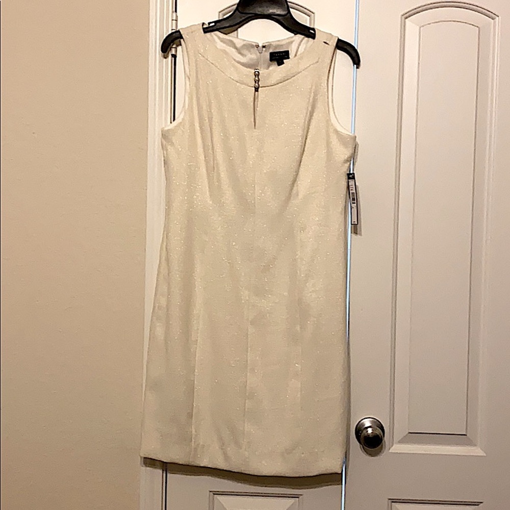 Beautiful Tahari Dress